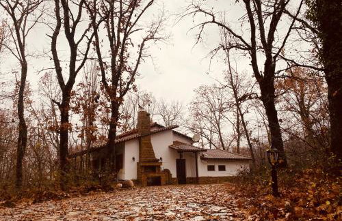 Arnaia Forest Villa - Photo 32