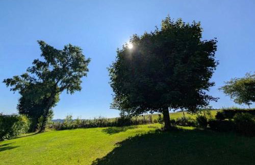 Escape Langewiese Winterberg - Foto 6