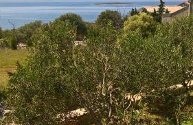 Apartments Krušvina - Foto 52