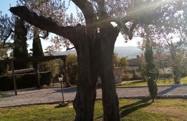 Podere Battegone - Foto 36