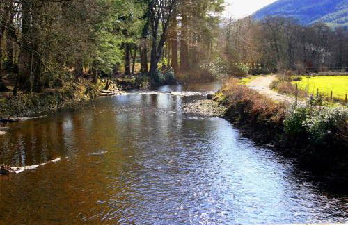 Cedar Cottage - Foto 25