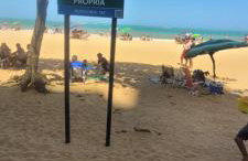 Maravilhosa Kitnet 10 min da praia - Foto 18