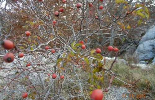 Apartman Milanko - Foto 35