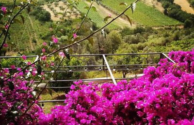 La Casa di Stefania LOFT - Foto 43