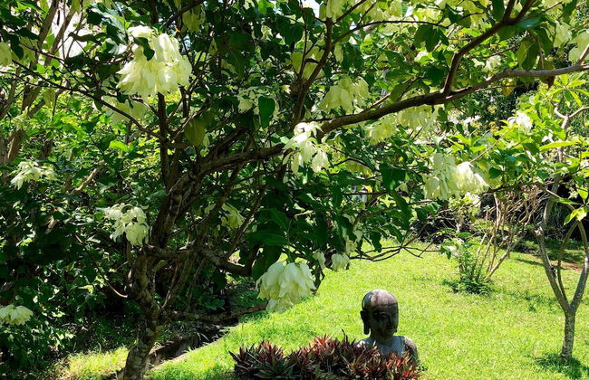 Bloo Lagoon Eco Village - Photo 72