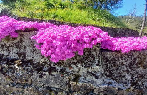 Il sogno di Gaggiuin - Foto 20