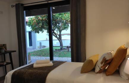 LARANJEIRA das LOIRAS - Foto 57