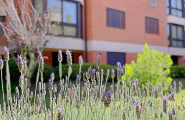 Aconchegante apto 3 dorm. com piscina aquecida - Foto 28