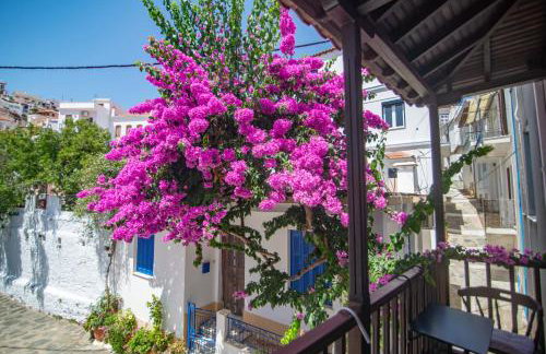 The Bougainvillea - Foto 26