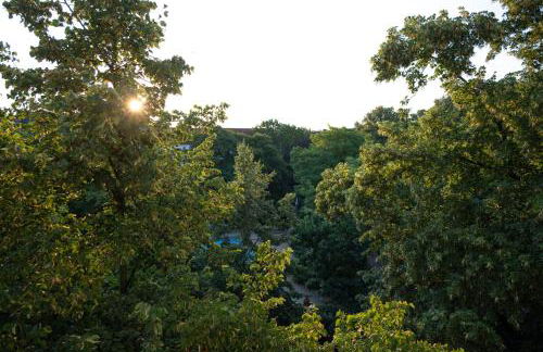 Modern, ruhig, gemütlich: 2 Zimmer Wohnung in bester Lage nahe Alster + Stadtpark - Foto 26