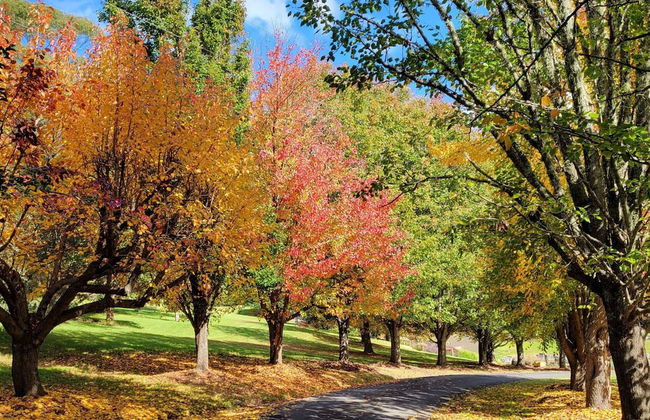 The Drawing Rooms of Berry - Foto 72