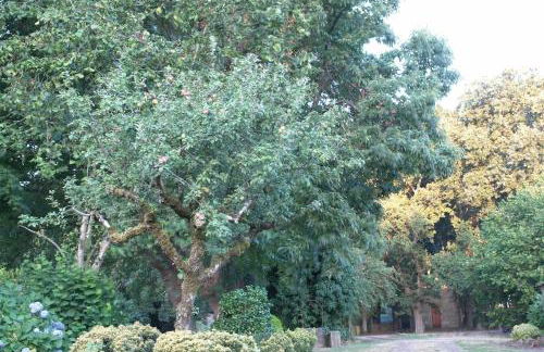 Casa de Arias - Photo 25