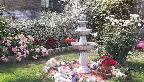 Flower house - Foto 4