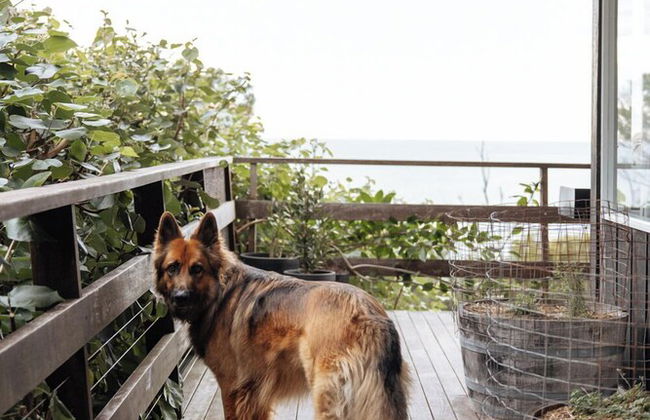 Bannisters Beach House - Foto 46