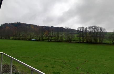 Ferienwohnung Dreiseetal - Foto 2