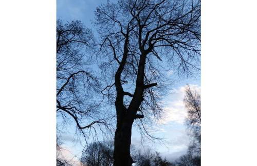 Trailer in Hundsdorf with swimming pool - Foto 18