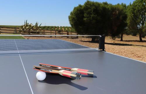 Monte da Figueira Brava - Foto 32