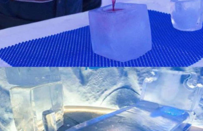 Biglietti per Mundo Gelado do Capitão - Foto 9