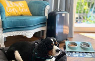 Villa Antonina - Foto 6