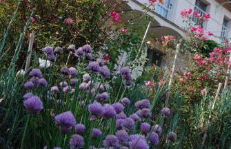 Casarciccia - Photo 38