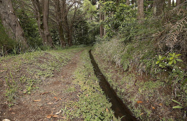 Plateau House - Foto 14