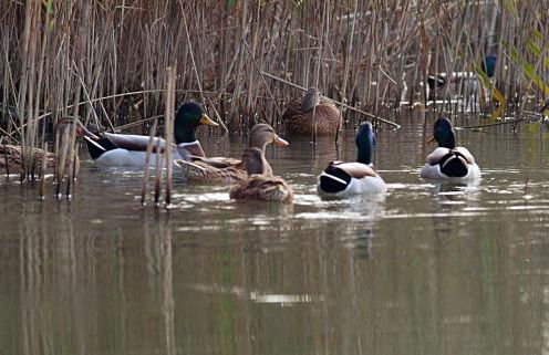A Casa di Bruna - Foto 74