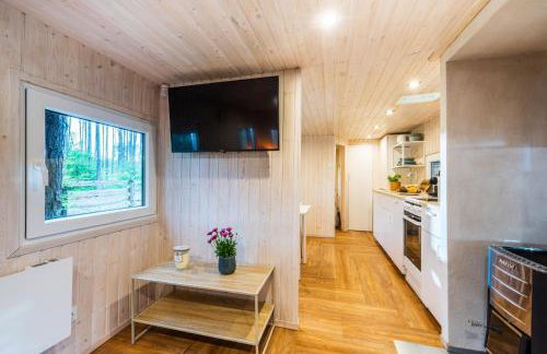 Domek lubiana180 SCANDI wśród drzew JACUZZI SAUNA KOMiNEK i TARAS na dachu jezioro Kaszuby Pieski tylko do 10kg za dodatkową opłatą - Foto 31