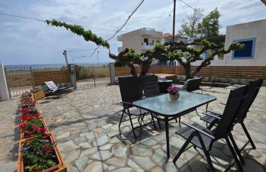 Sea Lilly - Photo 30