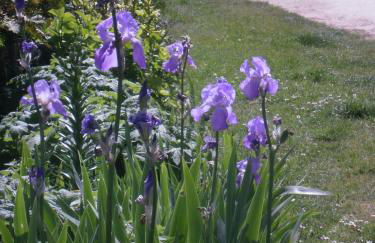 Maison Lambert - Foto 15