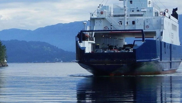 Easy Hike to Bondhus Glacier Lake and Visit to Rosendal - Foto 2