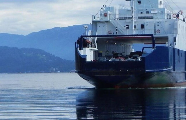 Easy Hike to Bondhus Glacier Lake and Visit to Rosendal - Foto 2