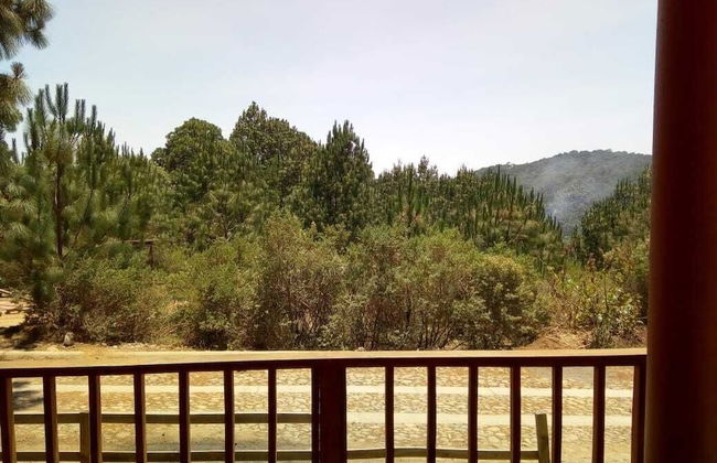 Cabañas del Bosque - Foto 27