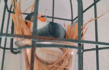 Hoja Calá Apartment - Foto 28