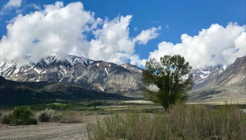 Mountainback 73 Den - Foto 4, Other