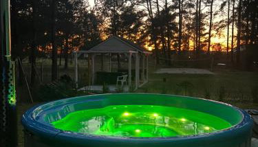 Masz Ci Las - Foto 2