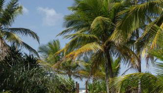 Espaço Tempo Vivências e Estadias - Foto 5, Garden