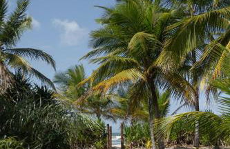 Espaço Tempo Vivências e Estadias - Photo 5