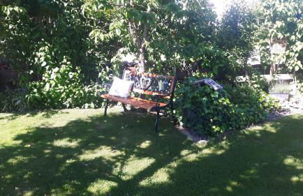 Ferienwohnung Schwarzwaldglück - Foto 16