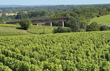 Le Piton - Appartements - Foto 39