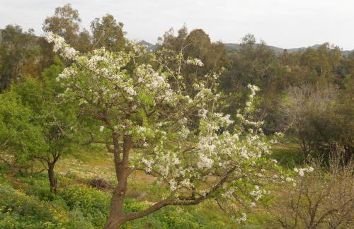Agriturismo Marongiu - Foto 22