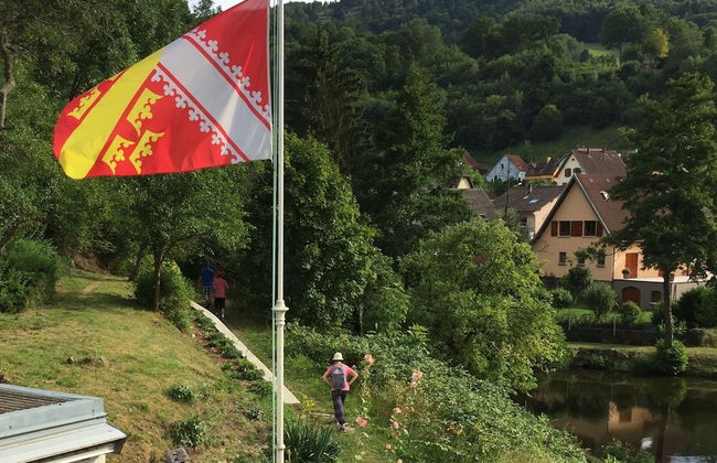 Appartements Maison Bellevue - Photo 37