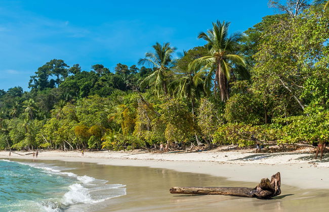 Excursão ao Parque Nacional Manuel Antonio - Foto 2