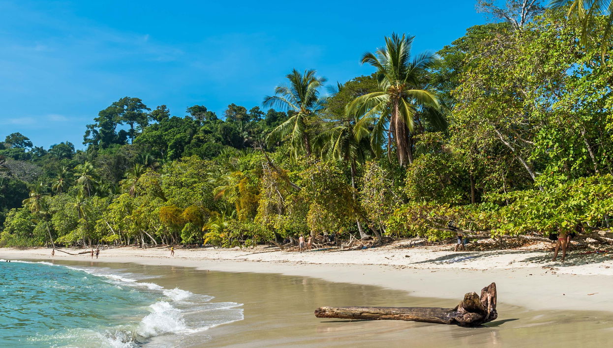 Manuel Antonio National Park Day Trip - Foto 2