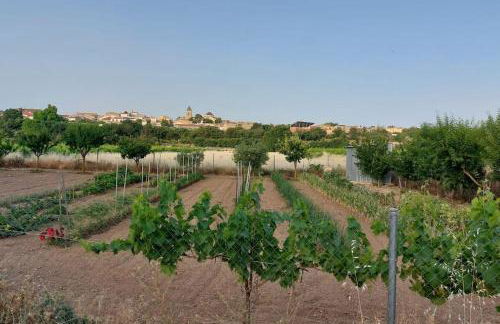 Casa Rural La Garnacha - Foto 32