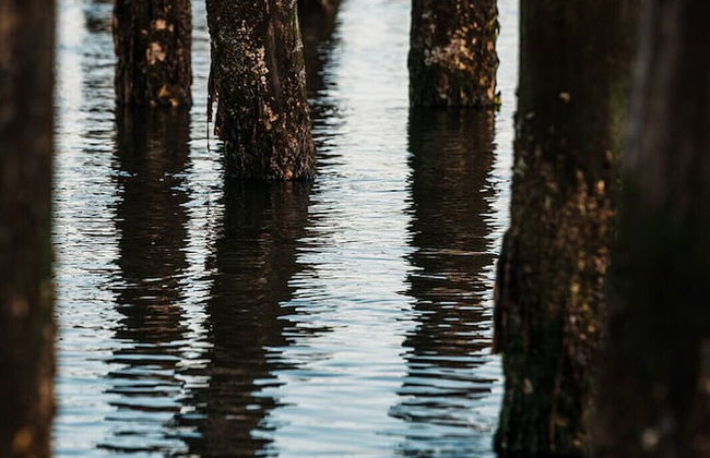 Bay Point Landing - Foto 24