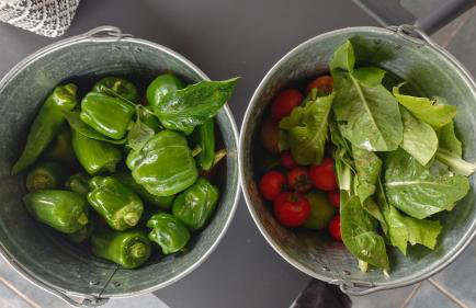 Kipo Paradiso Spa, Yoga & Gym Resort - Photo 43