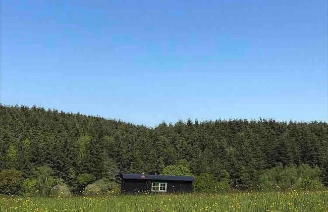 Dog Friendly Shepherd's Hut, Perfect for Couples - Photo 34