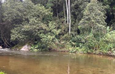 Chalé Floresta Mauá - Foto 32