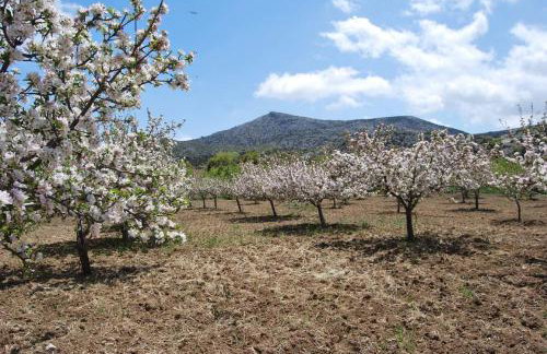 Arodamos Guesthouse - Foto 64