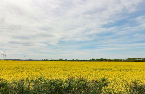 Daisy Nook - Foto 18